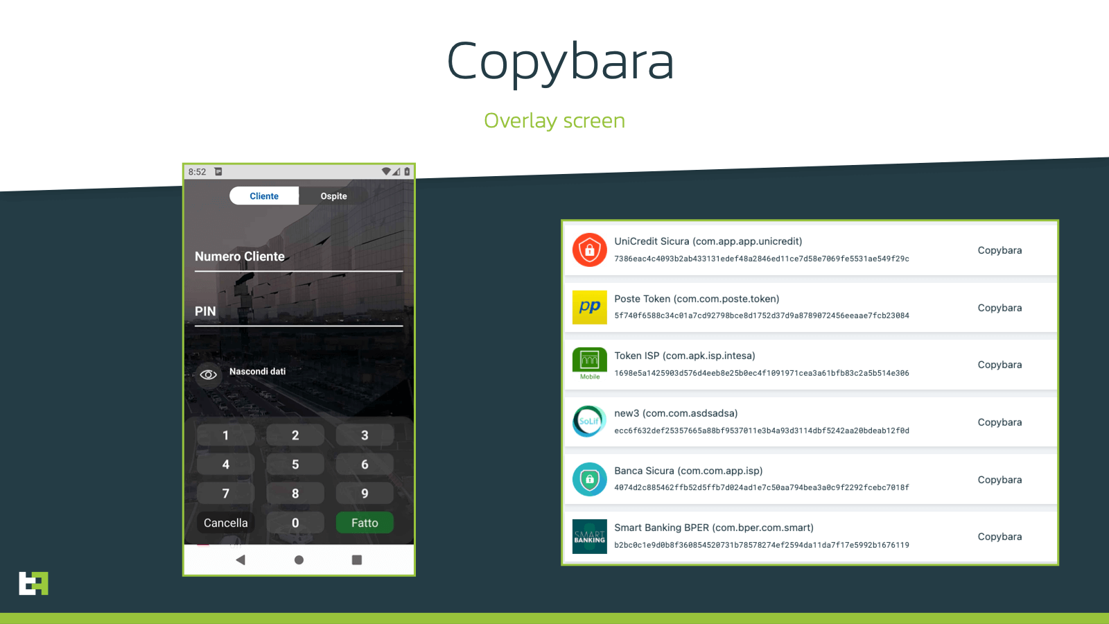copybara_overlay-1